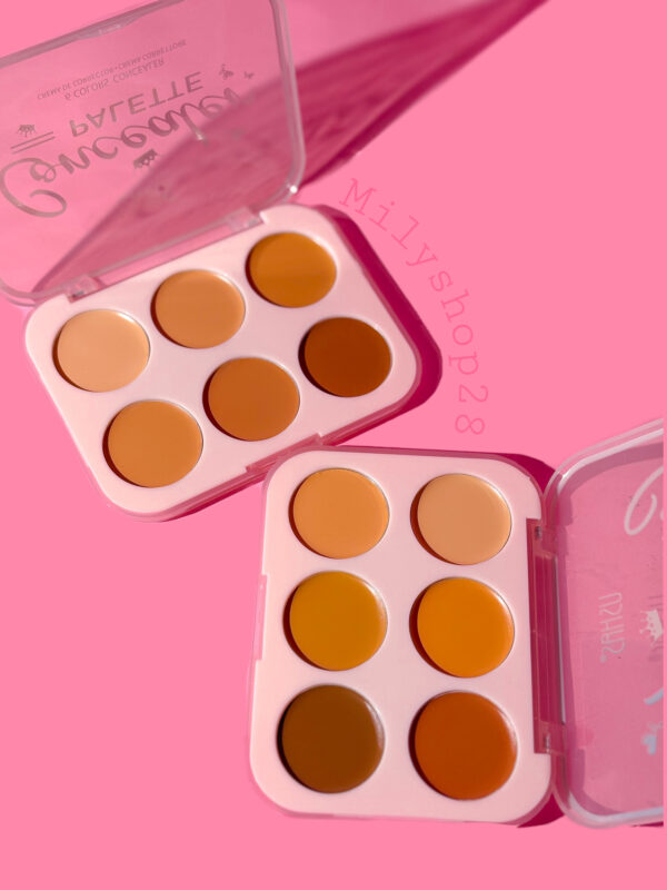 Concelear Palette USHAS