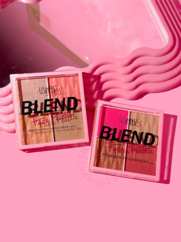 Blend Face Plette USHAS
