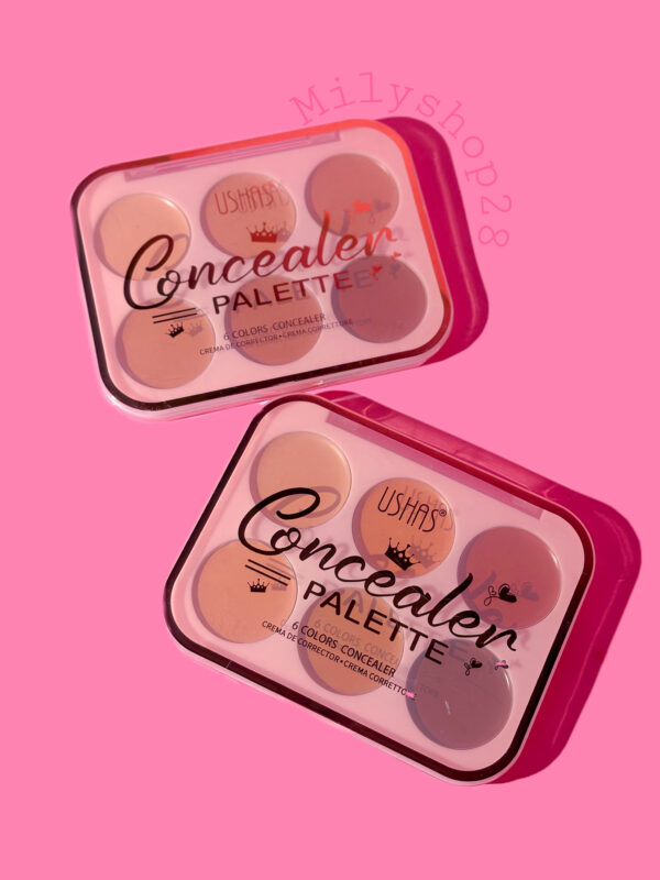 Concelear Palette USHAS - Imagen 2