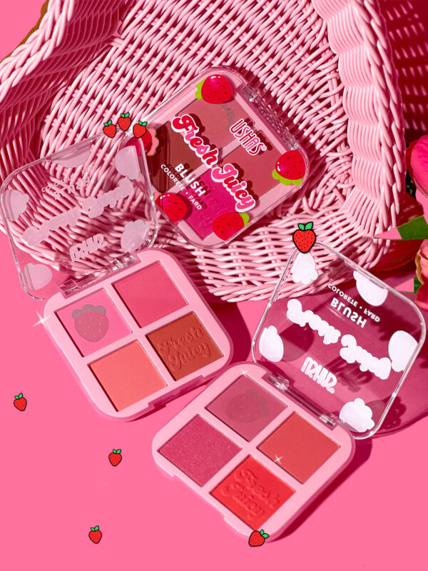 Rubores (blush)  4 en 1 USHAS
