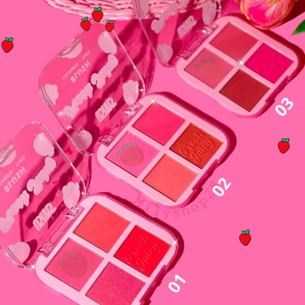 Rubores (blush)  4 en 1 USHAS - Imagen 2