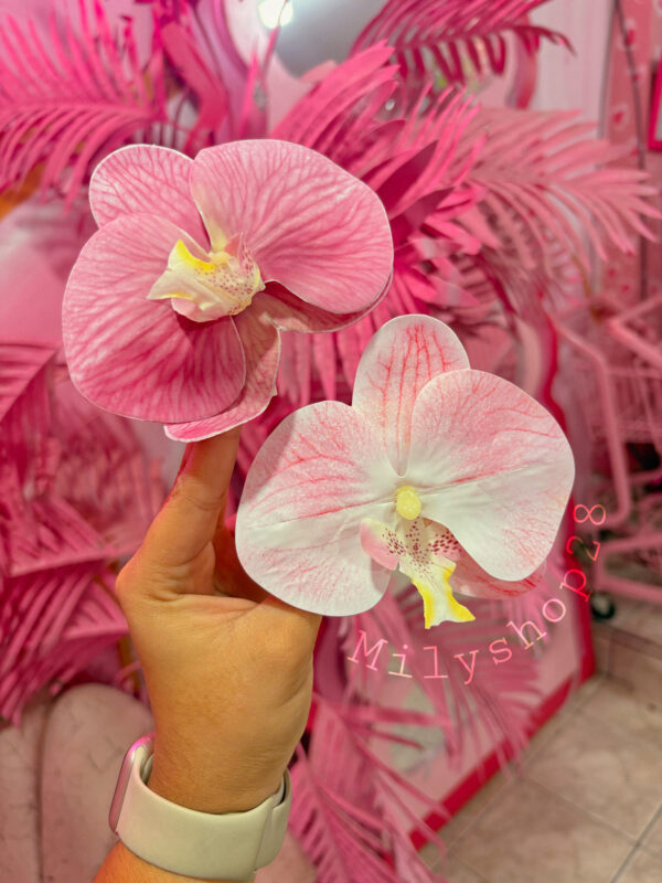 Clip de Orquídea - Imagen 2