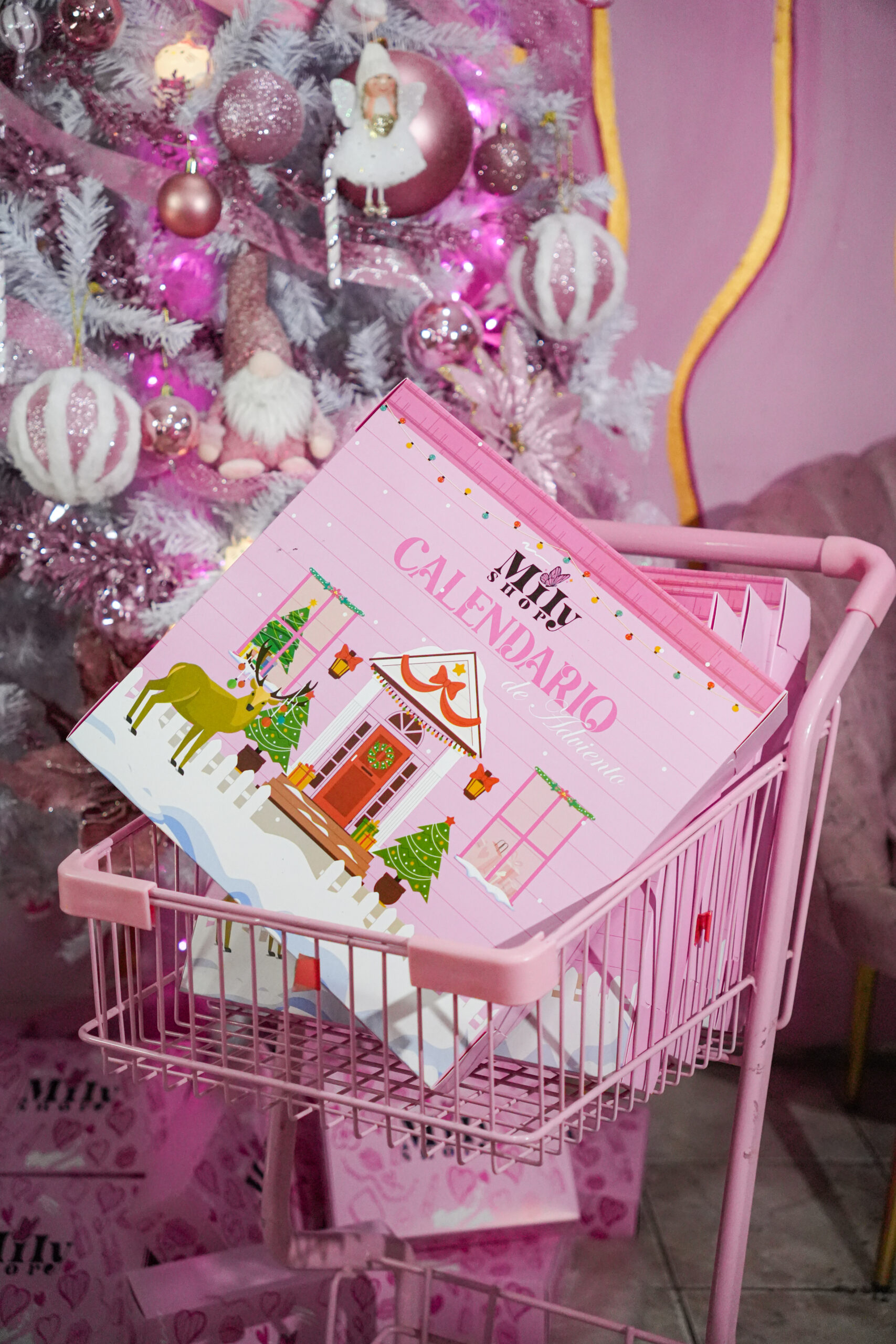 CALENDARIO DE ADVIENTO MILYSHOP 2025